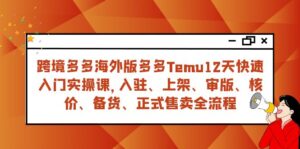 跨境多多海外版多多Temu12天快速入门实战课,从入驻 上架到正式售卖全流程-创客云联盟