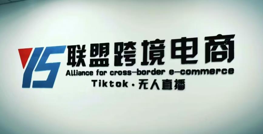 YS联盟·Tiktok无人直播，不出镜不剪辑不拍摄不发货无售后的跨境短视频躺赚玩法-创客云联盟