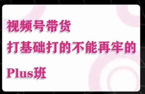 大播汇·视频号带货Puls班，视频号底层逻辑，起号自然流鱼塘等玩法-创客云联盟