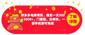 2023拼多多电商项目,稳定一天300~3000+,门槛低,出单快,一部手机即可完成-创客云联盟