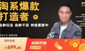 锋投老叶全店动销,淘系干货汇总,各种玩法,淘系爆款打造者-创客云联盟