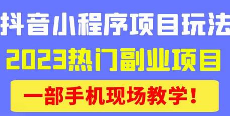 抖音小程序9.0新技巧，2023热门副业项目，动动手指轻松变现-创客云联盟