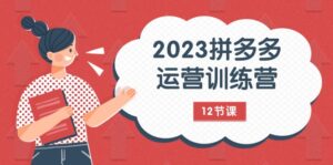 2023拼多多运营训练营:流量底层逻辑,免费+付费流量玩法(12节课)-创客云联盟
