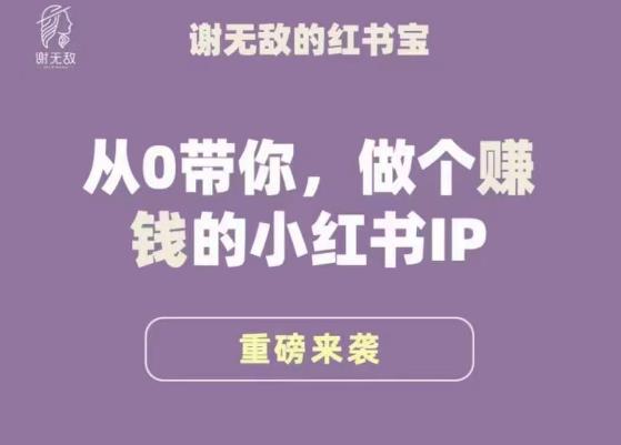 谢无敌·小红书运营大宝典，从0带你做个赚钱的小红书IP-创客云联盟