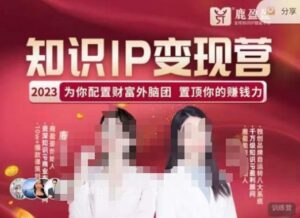 鹿盈盈-知识IP变现实操营,普通人可复制的知识产品落地实操课,带你打通知识IP变现底层逻辑-创客云联盟