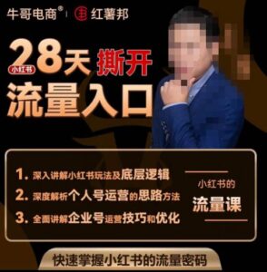 牛哥电商红薯邦28天撕开小红书流量入口,小红书运营系列课,快速掌握小红书的流量密码-创客云联盟
