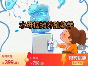 水母摆摊教学，包括摆摊技术、养殖技术、拿货渠道、抖音运营等-创客云联盟