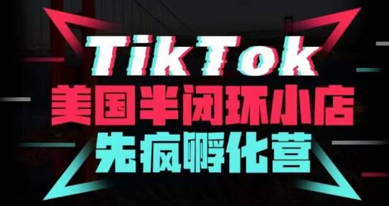 疯人院·TikTok美国半闭环小店孵化营，抢占TikTok美国蓝海市场，开店、运营、带货、投流全实操-创客云联盟