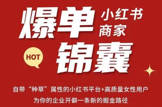 无畏·小红书商家爆单锦囊，掌握小红书各大规则，快速精准抢占行业和市场-创客云联盟