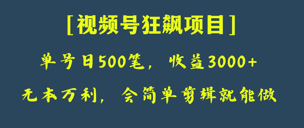 日收款500笔，纯利润3000+，视频号狂飙项目！-创客云联盟