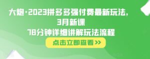 大炮·2023拼多多强付费最新玩法,3月新课78分钟详细讲解玩法流程-创客云联盟
