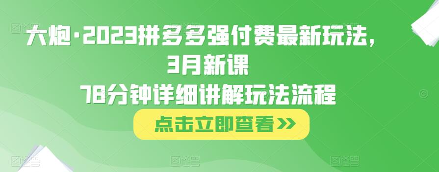 大炮·2023拼多多强付费最新玩法，3月新课​78分钟详细讲解玩法流程-创客云联盟