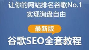 谷歌SEO实战教程:如何让你的网站在谷歌排名第一,内容从入门到高阶,适合个人及团队-创客云联盟