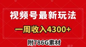 （7969期）视频号最新玩法 广告收益翻倍 几分钟一个作品 一周变现4300+（附786G素材）-创客云联盟