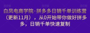白凤电商学院·拼多多日销千单训练营,从0开始带你做好拼多多,日销千单快速复制(更新知2023年3月)-创客云联盟
