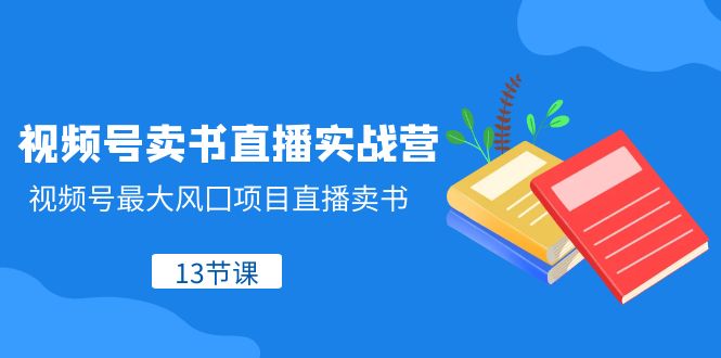 视频号卖书直播实战营，视频号最大风囗项目直播卖书（13节课）-创客云联盟