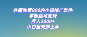 （8016期）小说推广软件，零粉丝可变现，月入1000+，小白当天即上手【附189G素材】-创客云联盟