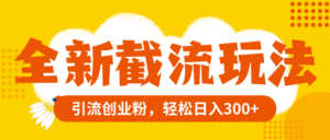（8025期）全新截流玩法，精准引流创业粉，轻松日入300+-创客云联盟
