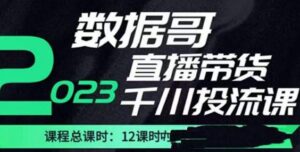 数据哥2023直播电商巨量千川付费投流实操课,快速掌握直播带货运营投放策略-创客云联盟