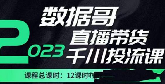 数据哥2023直播电商巨量千川付费投流实操课，快速掌握直播带货运营投放策略-创客云联盟