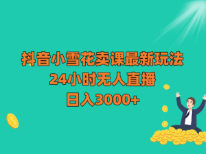 抖音小雪花卖课最新玩法，24小时无人直播，日入3000+-创客云联盟