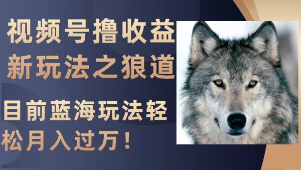 （8042期）视频号撸收益新玩法之狼道，目前蓝海玩法轻松月入过万！-创客云联盟