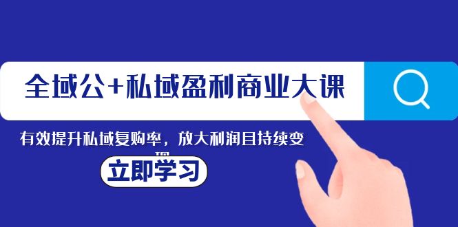 （8045期）全域公+私域盈利商业大课，有效提升私域复购率，放大利润且持续变现-创客云联盟
