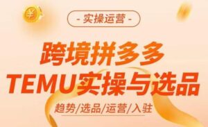 跨境拼多多TEMU实操与选品，​掌握平台运营方法技巧，选品避坑12条标准，爆款的底层思路等-创客云联盟