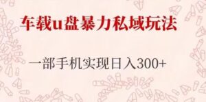车载u盘暴力私域玩法,长期项目,仅需一部手机实现日入300+-创客云联盟
