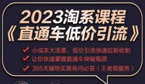 2023直通车低价引流玩法课程，小成本大流量，低价引流快速拉新收割，让你快速掌握直通车突破瓶颈-创客云联盟