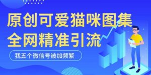 黑科技纯原创可爱猫咪图片，全网精准引流，实操5个VX号被加频繁-创客云联盟