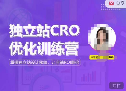 独立站CRO优化训练营，掌握独立站设计秘籍，打造高转化的独立站，让店铺ROI翻倍-创客云联盟