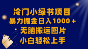 （8101期）【全网首发】冷门小绿书暴力掘金日入1000＋，无脑搬运图片小白轻松上手-创客云联盟
