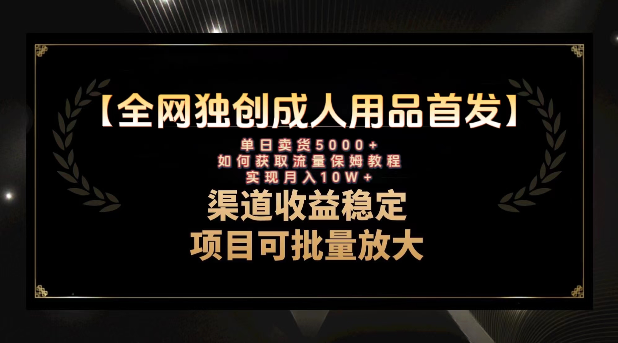 （8128期）最新全网独创首发，成人用品赛道引流获客，月入10w保姆级教程-创客云联盟