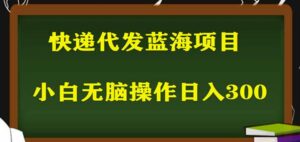 2023最新蓝海快递代发项目,小白零成本照抄也能日入300+-创客云联盟