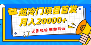 （8148期）超级冷门项目，粤语动画赛道，十分钟一个原创视频，简单易上手 实测月入1w+-创客云联盟