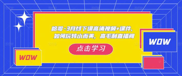 哈哥·3月线下实操课高清视频+课件，如何玩转小而美，高毛利直播间-创客云联盟