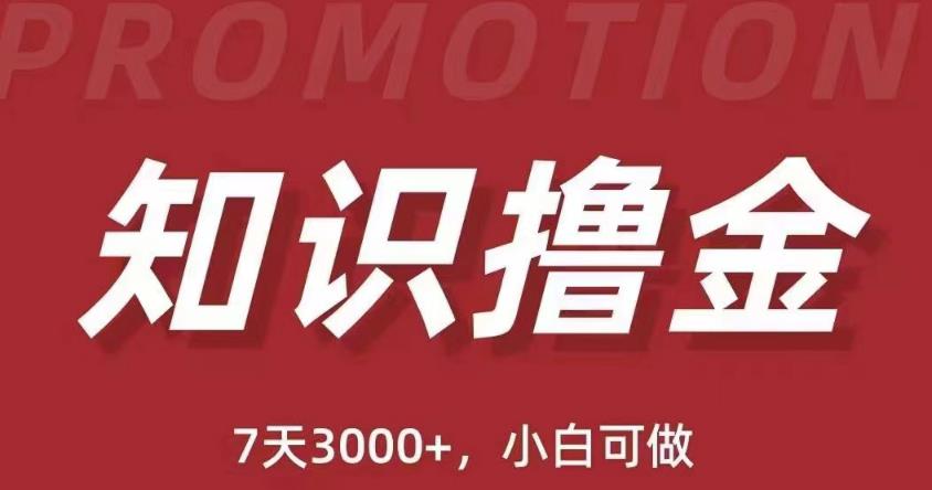 抖音知识撸金项目：简单粗暴日入1000+执行力强当天见收益(教程+资料)-创客云联盟