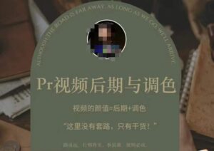 Pr视频后期与调色,视频颜值=后期+调色,这里没有套路,只有干货!-创客云联盟