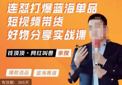 网红叫兽·连怼打爆蓝海单品，短视频带货好物分享实战课-创客云联盟