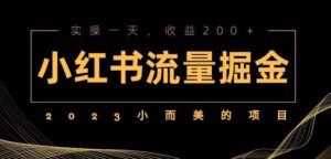 2023小而美的项目,小红书流量掘金,实操一天,收益200+【揭秘】-创客云联盟