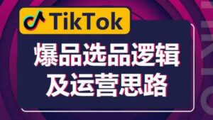 TikTok爆品选品逻辑及运营思路：解决网络环境快速入门TikTok-创客云联盟