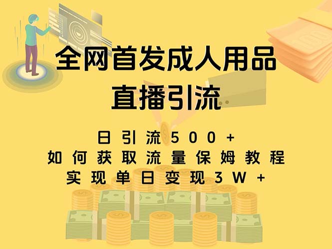 （8193期）最新全网独创首发，成人用品直播引流获客暴力玩法，单日变现3w保姆级教程-创客云联盟