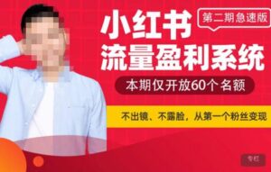 小红书流量盈利系统(第二期急速版),不出境,不露脸,轻松把流量变成米-创客云联盟