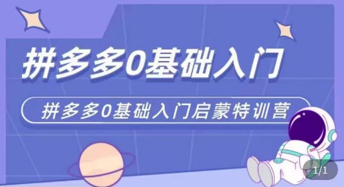 拼多多运营0-1实操特训营，拼多多0基础入门，从基础到进阶的可实操玩法-创客云联盟