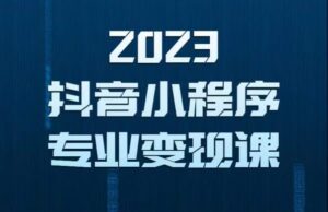 2023年抖音小程序变现保姆级教程，0粉丝新号，无需实名，3天起号，第1条视频就有收入-创客云联盟