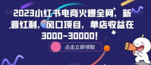 2023小红书电商火爆全网，新晋红利，风口项目，单店收益在3000-30000！-创客云联盟