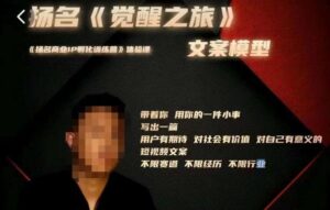 王扬名·《觉醒之旅》文案模型，​带着你用你的一件小事，对自己有意义的短视频文案-创客云联盟