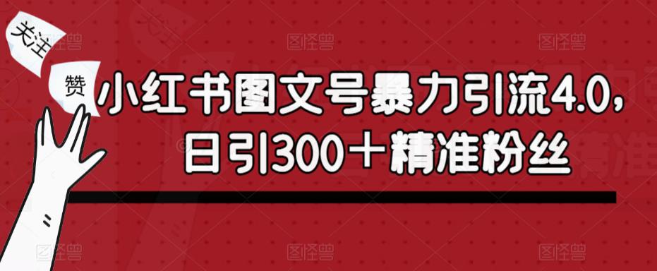小红书图文号暴力引流4.0，日引300＋精准粉丝【揭秘】-创客云联盟