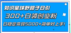 （8315期）知识星球野路子日引300+白领创业粉，日稳定变现5000+简单好上手！-创客云联盟